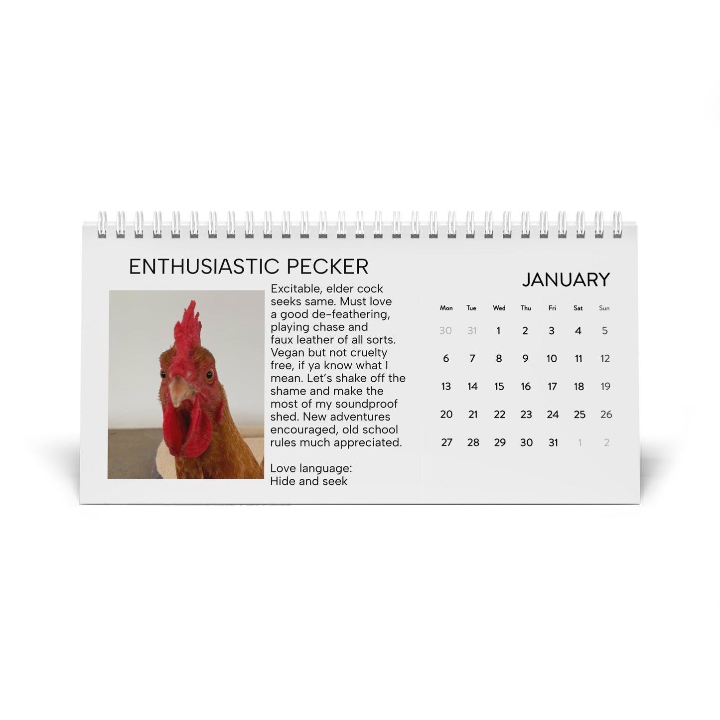 Housebroken: Personal Ads for Pets - 2024 Desk Calendar