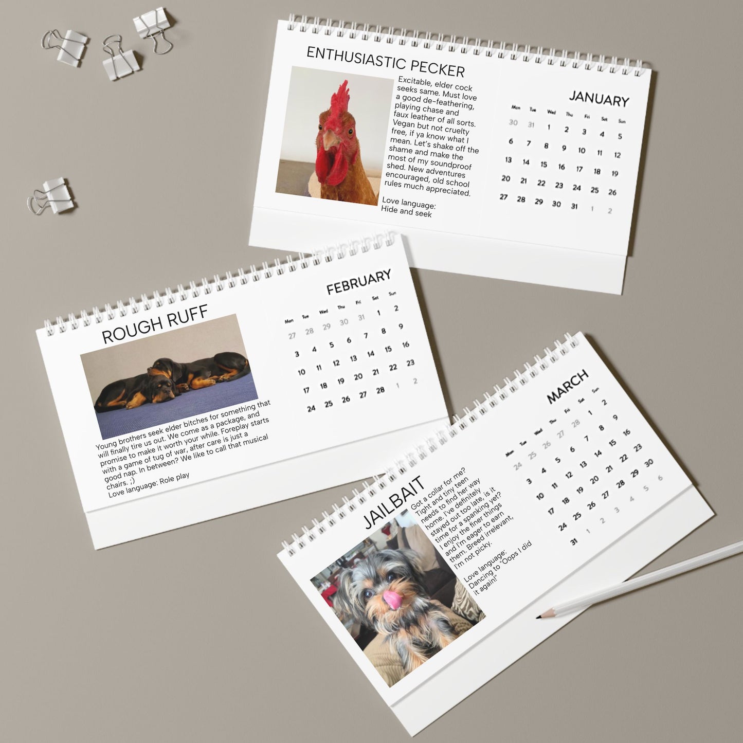 Housebroken: Personal Ads for Pets - 2024 Desk Calendar