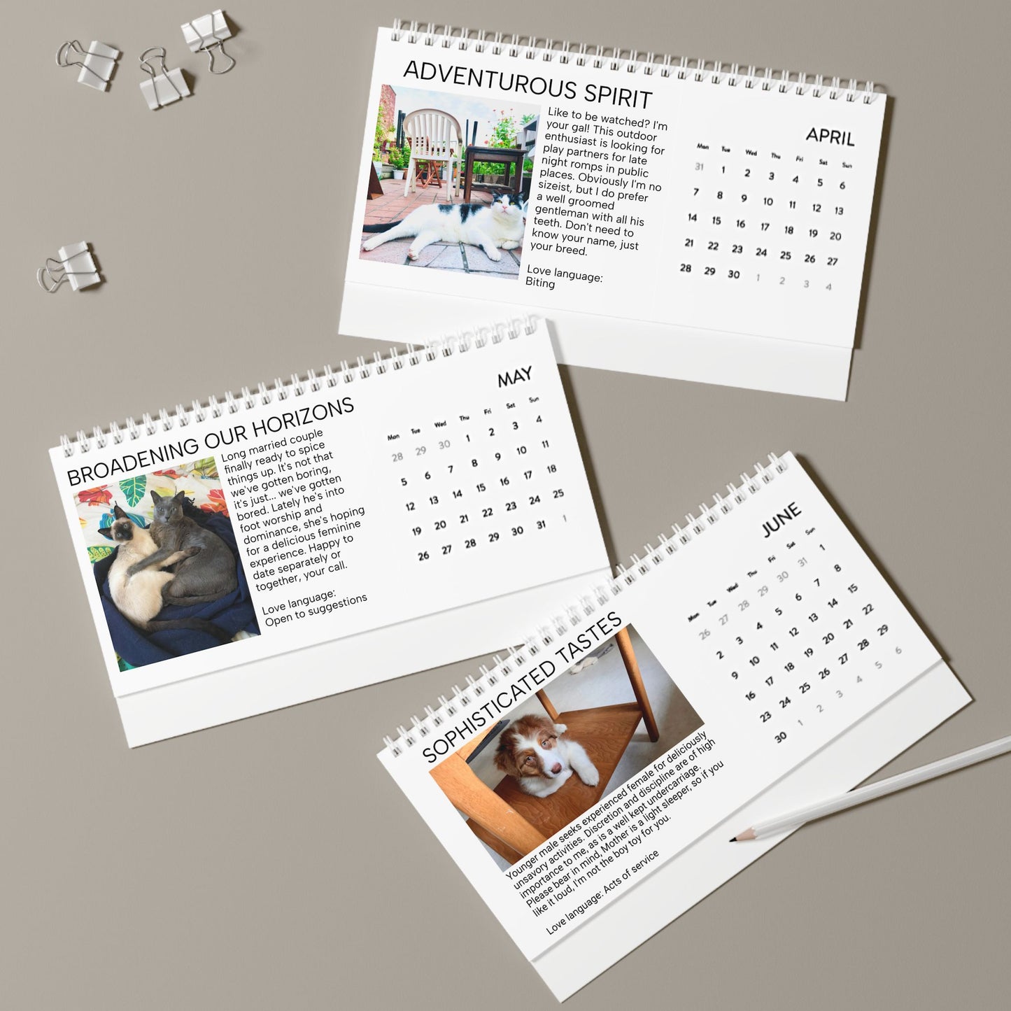 Housebroken: Personal Ads for Pets - 2024 Desk Calendar