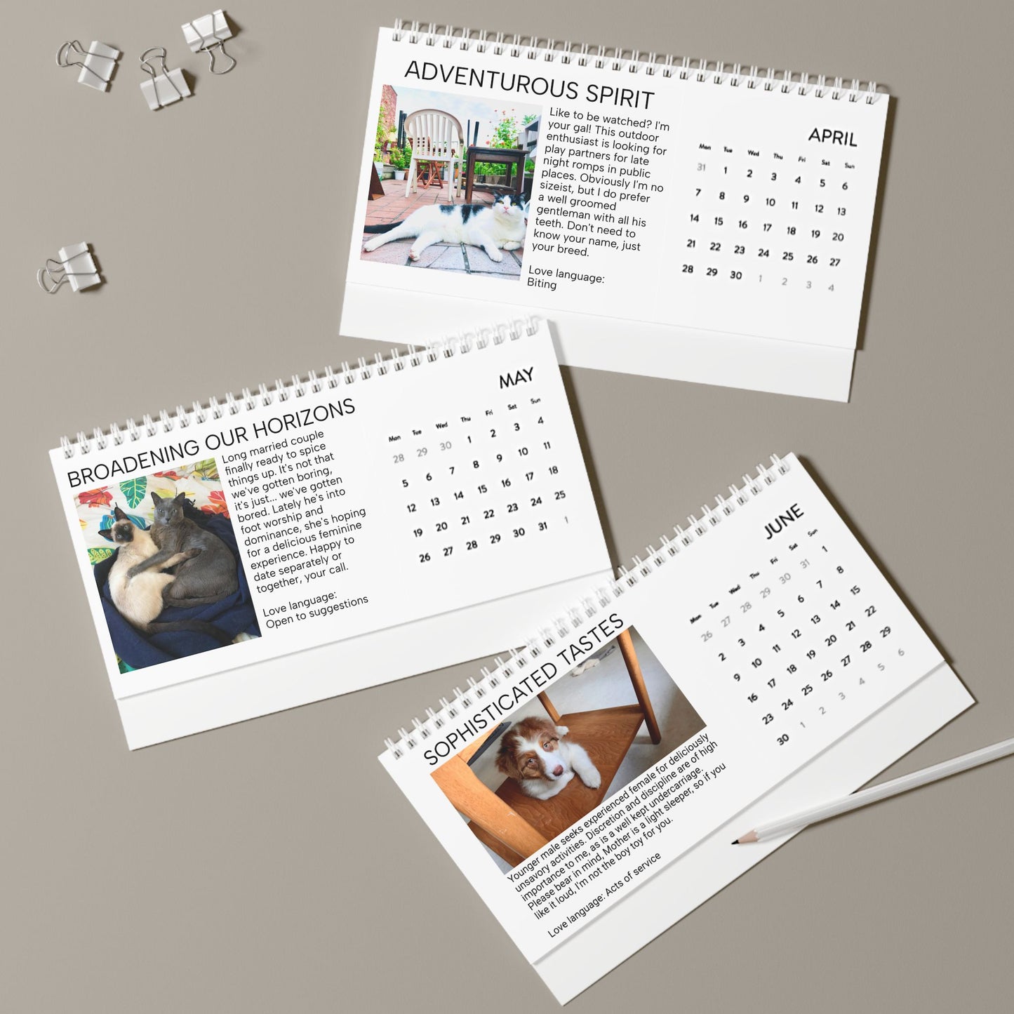 Housebroken: Personal Ads for Pets - 2024 Desk Calendar